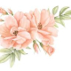 peche avec un motif floral